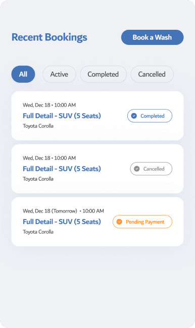 Luxx mobile car wash